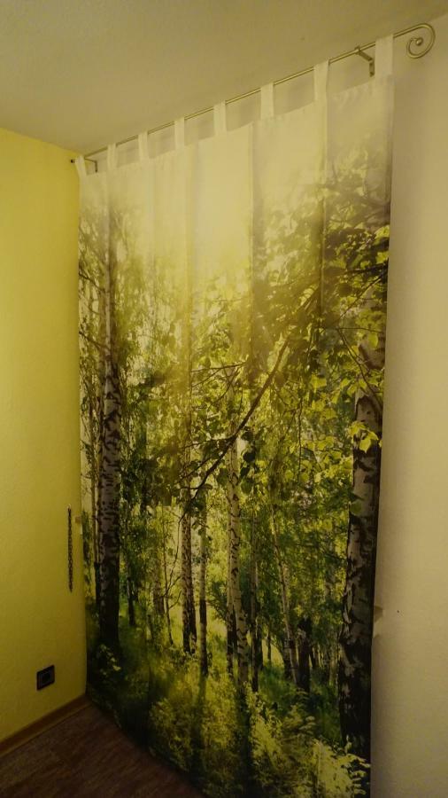 Ferienwohnung Witte Sankt Andreasberg Esterno foto
